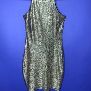 Silver Metallic Dress from Forever 21 🌪
